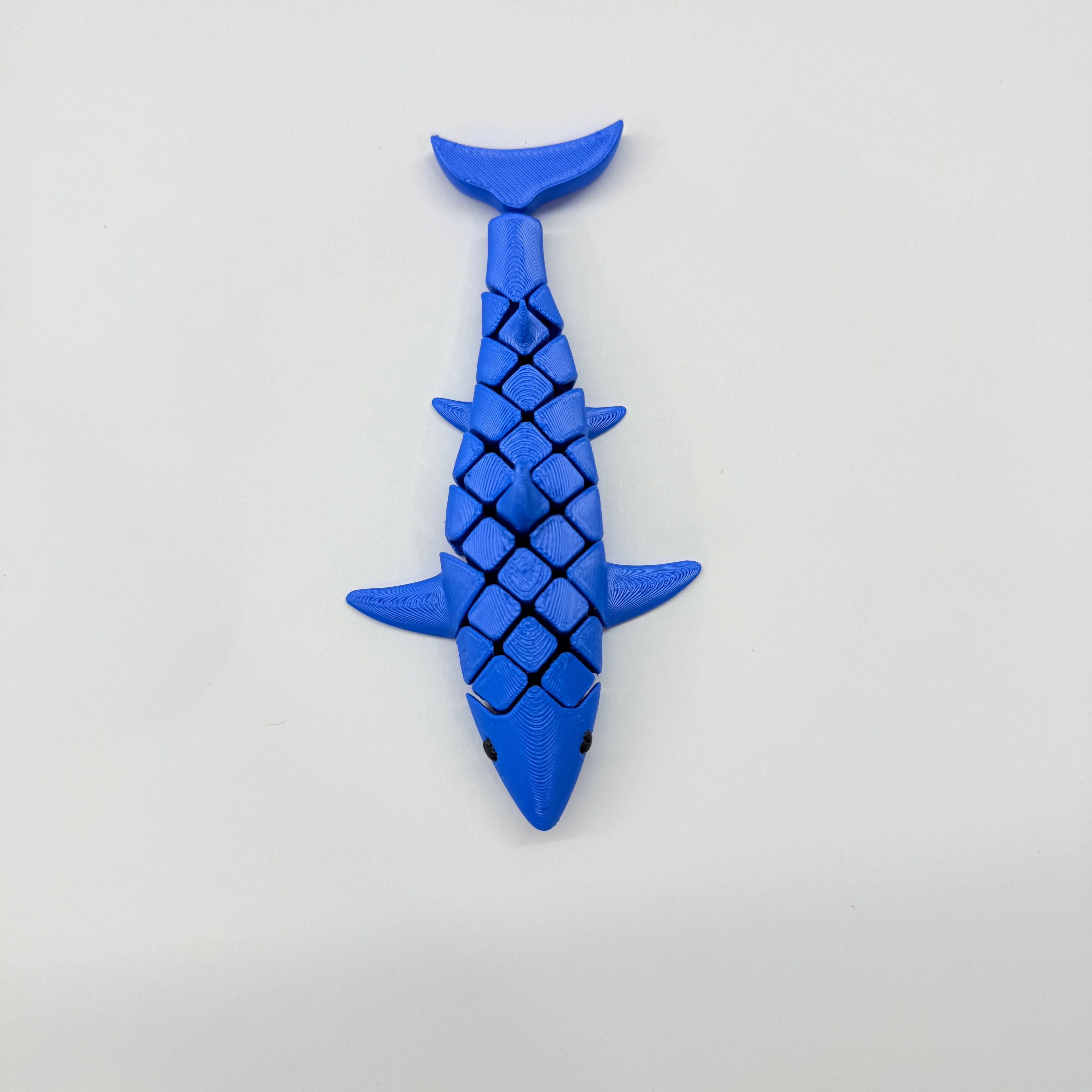 Flexi Shark