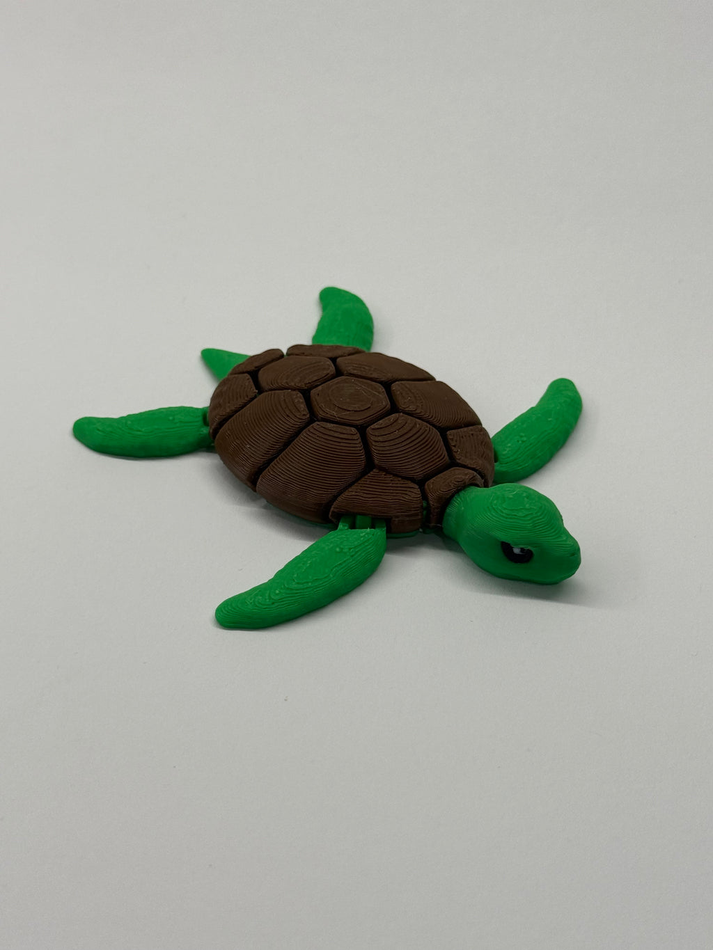 Pocket turtle