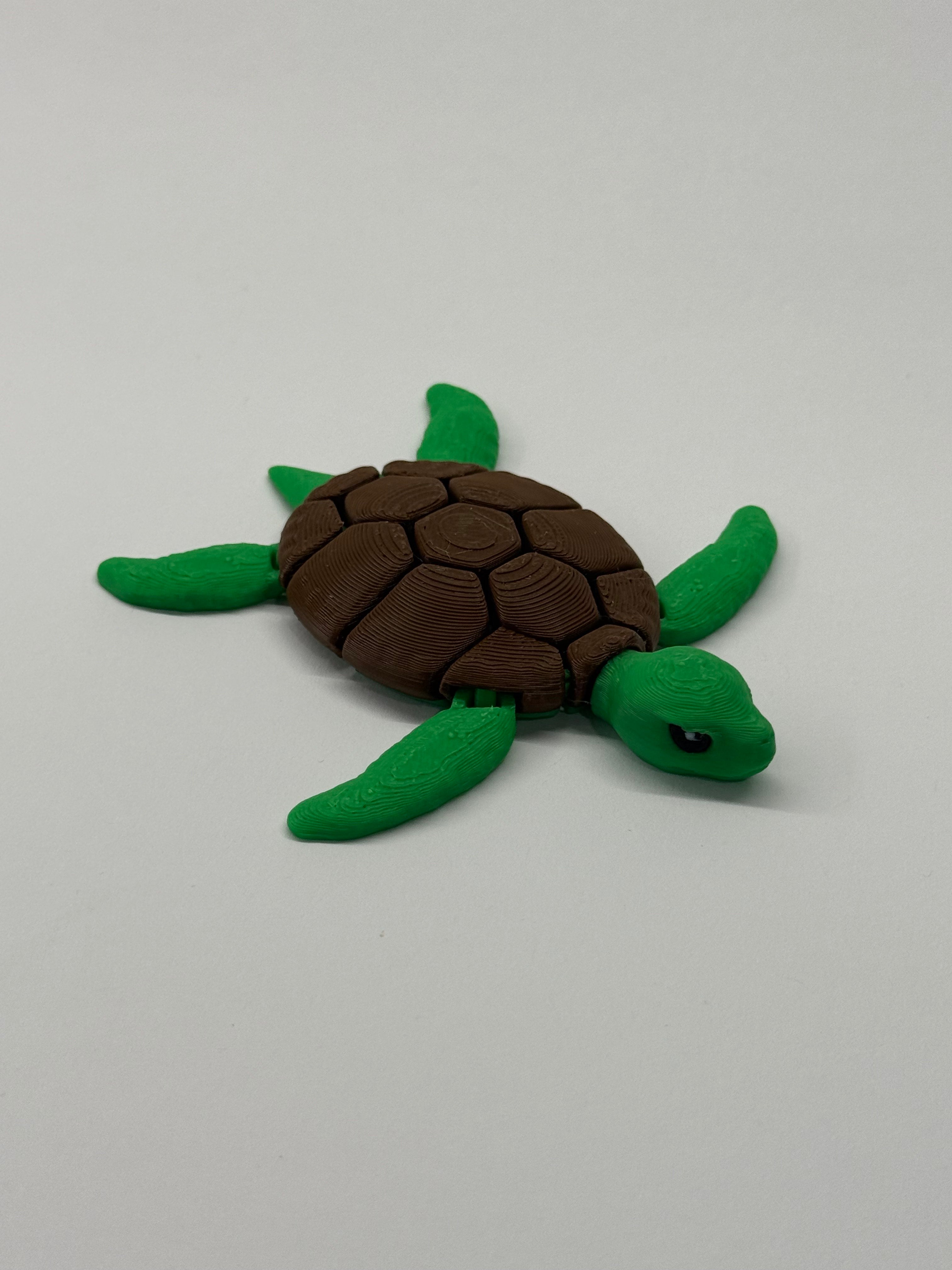 Pocket turtle