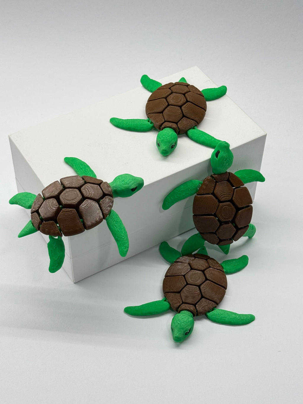 Pocket turtle