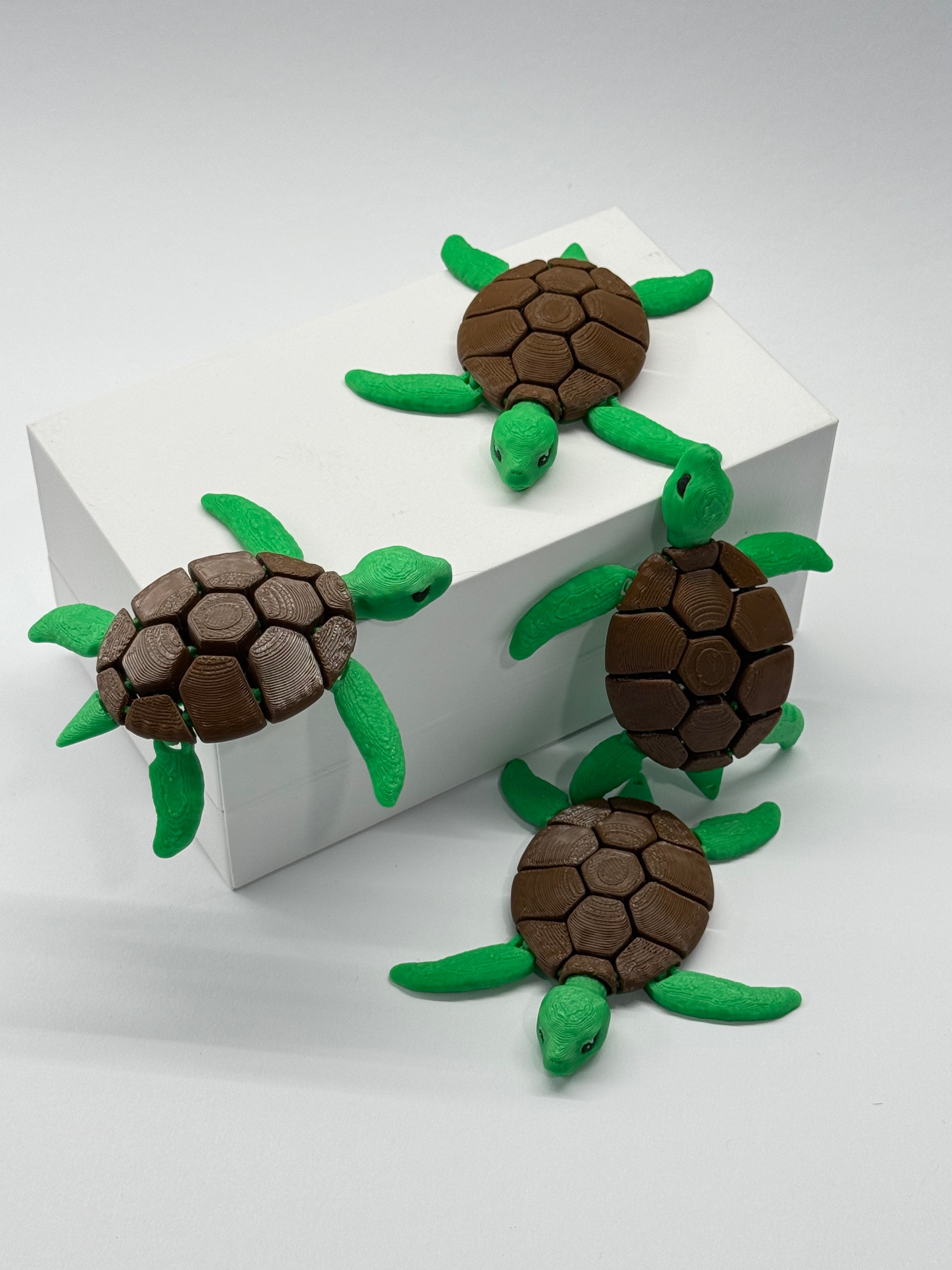Pocket turtle